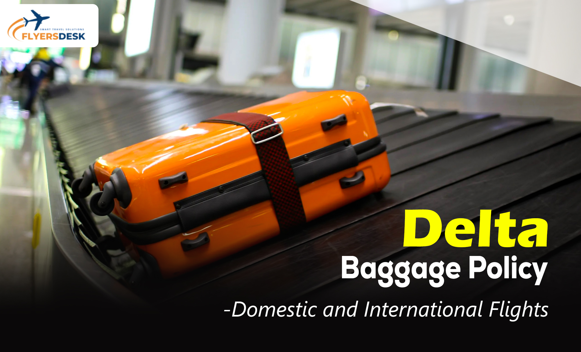 Delta Baggage Policy