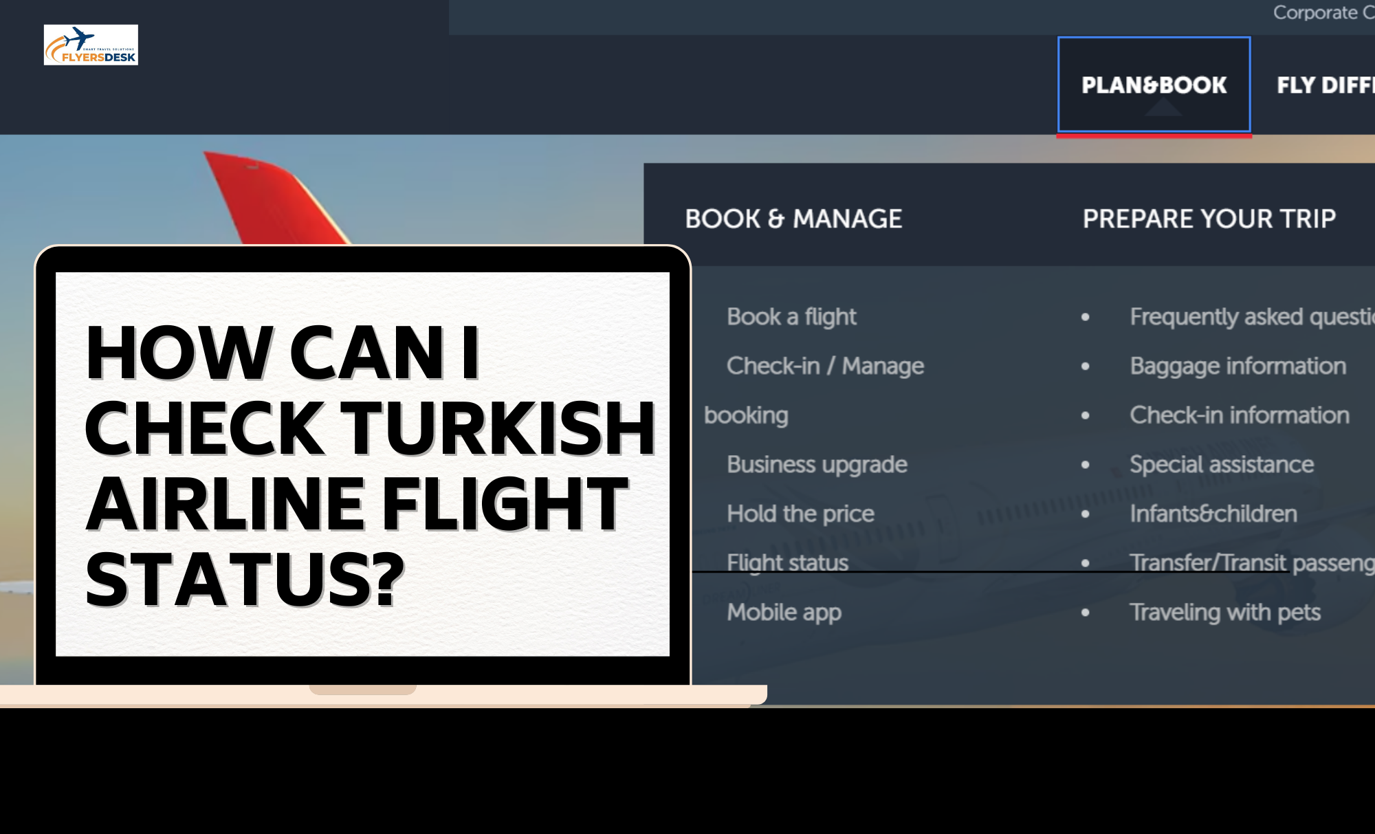 How can i check turkish airlines flight status