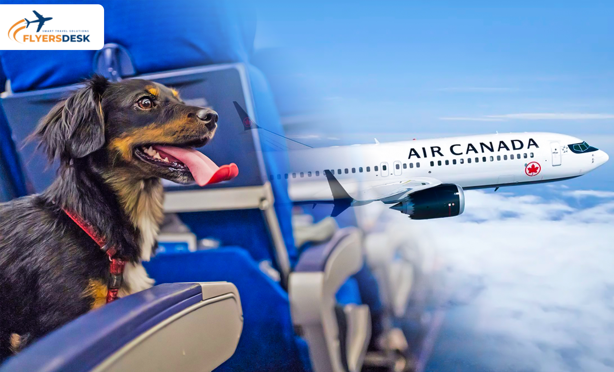 Air Canada Pet Policy for In-Cabin
